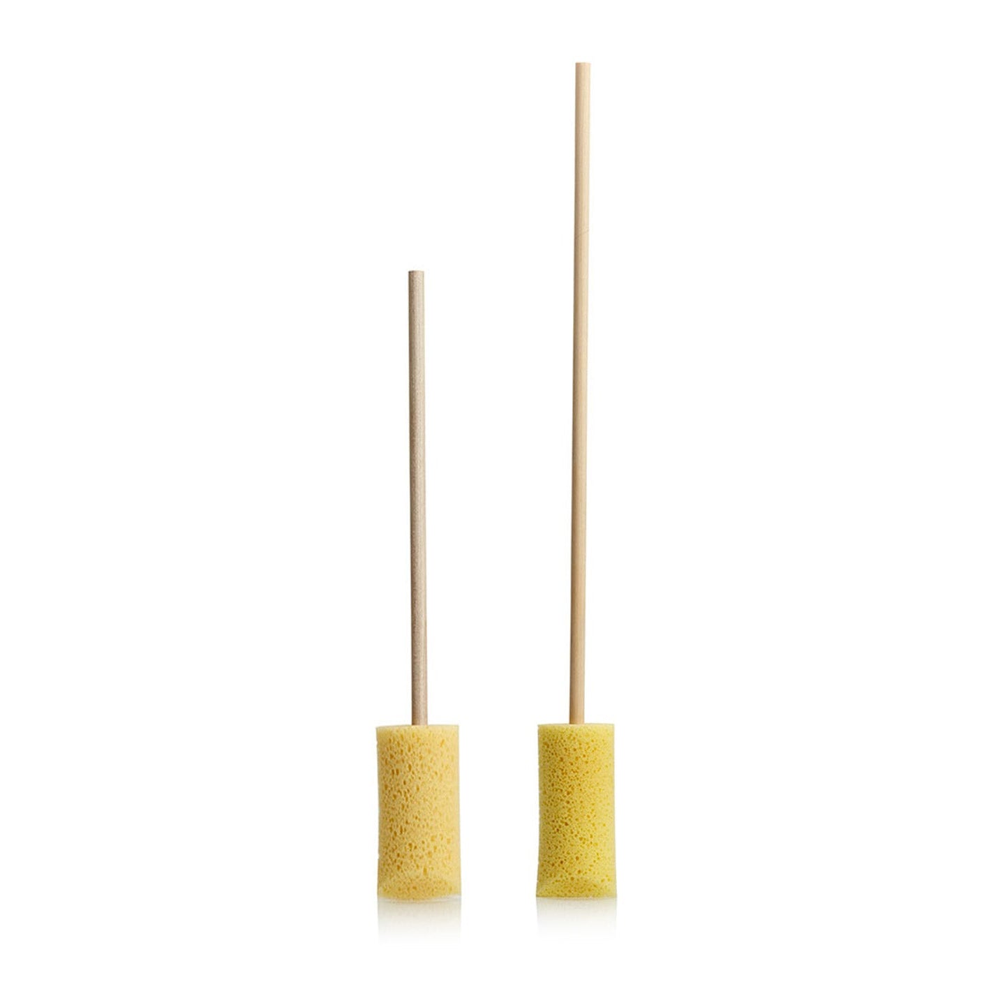 Sponge Guru Oval Wheel Brushes