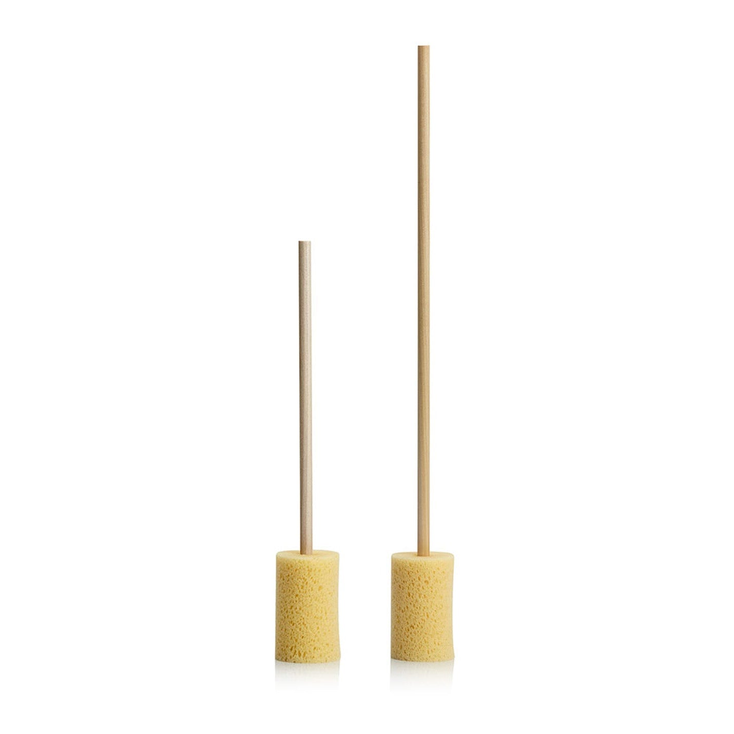 Two Sponge Guru Wheel brushes on a white background